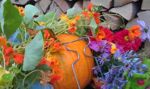 IMAG0820.jpg image